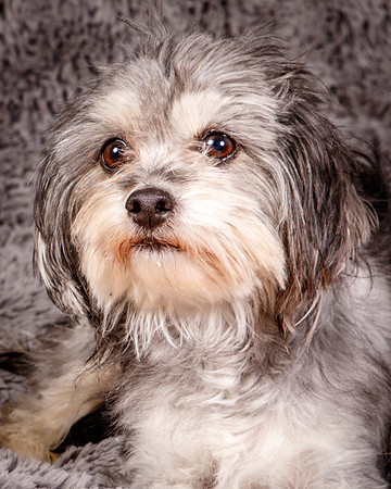 Foster Alex-6245