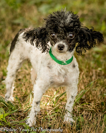 Foster Lillian-3013