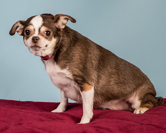 Foster Sophie-5205