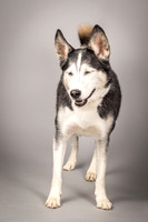 Bella-2457