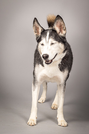 Bella-2457