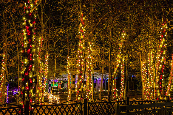 Christmas-2639