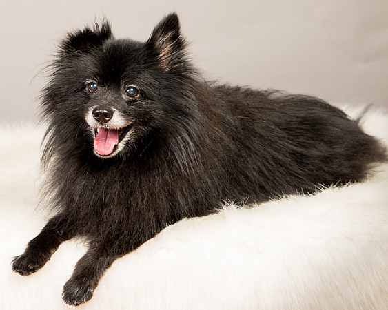 Foster Wayne-8218