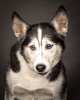 Bella-2397