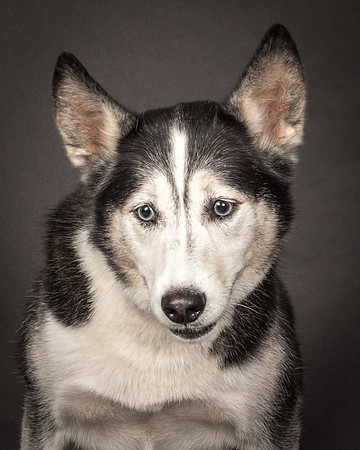 Bella-2397