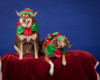 Spivey-Presley and Paige-7576