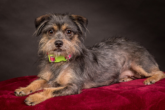 Foster Nadine-9610