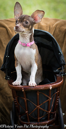 Foster Joanie-3770