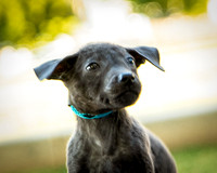 Foster Rigley-0061