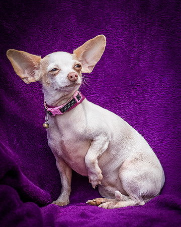 Foster Mrs C-8109