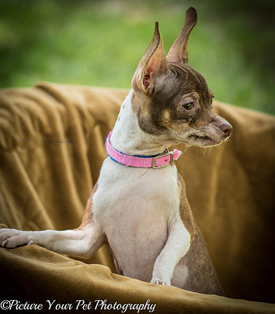 Foster Joanie-3737