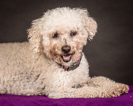 Foster Mae-8992