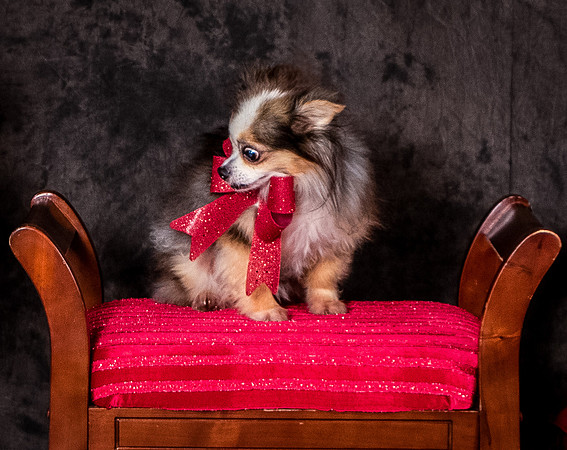 Foster Gabe-4426