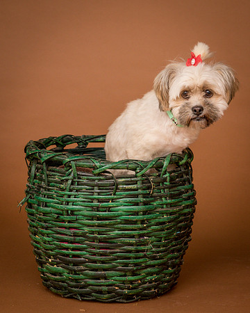 Foster Frida-9802