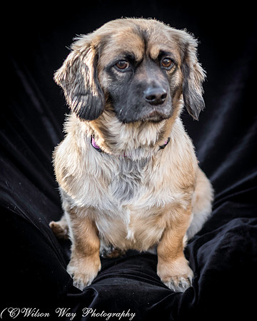 Foster Trudy-28