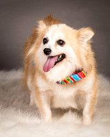 Foster Lilly-3386