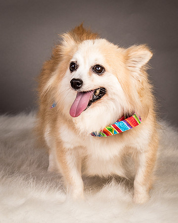 Foster Lilly-3386