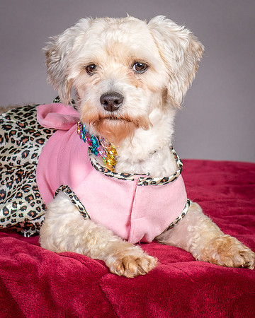 Foster Everly-2166