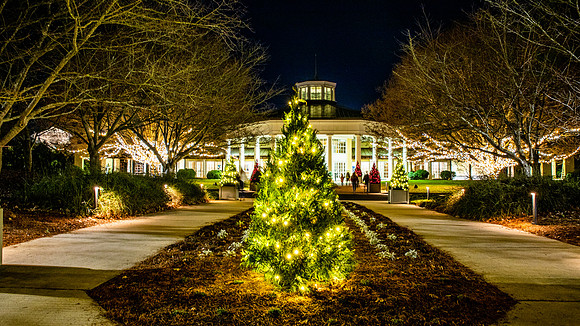 Christmas-2959