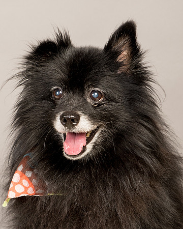 Foster Wayne-8043