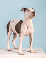 Foster Luna-4692