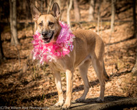 Foster Rita-2461