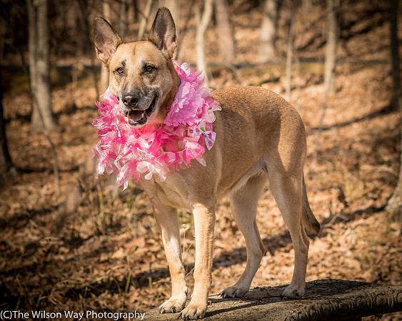 Foster Rita-2461