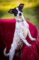 Foster Haylie-4003