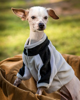 Foster Dobby-8740