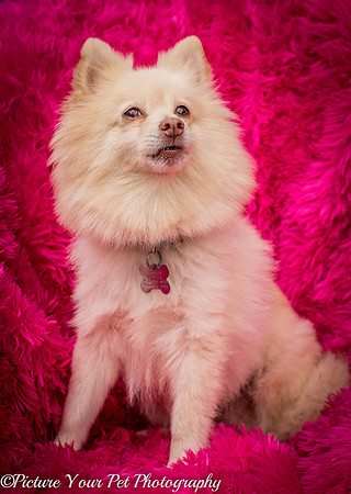 Foster Laverne-6345