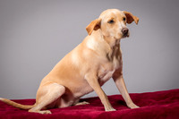 Foster June-3467