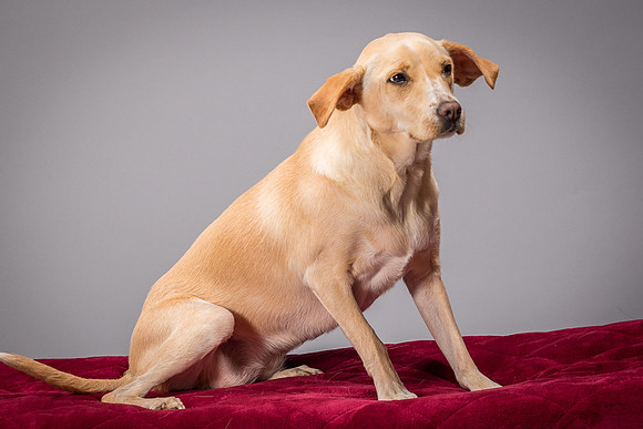 Foster June-3467