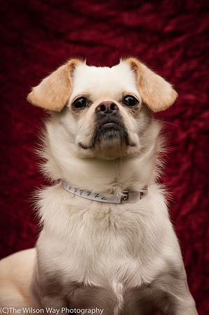Foster Bonnie-3312