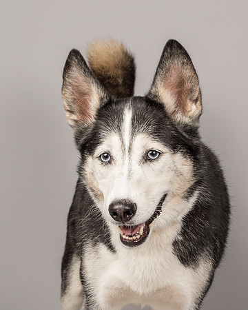 Bella-2473