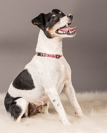 Foster Pollyanna-3896