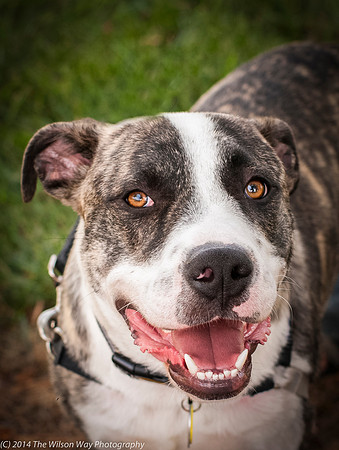 Foster Louie-9701