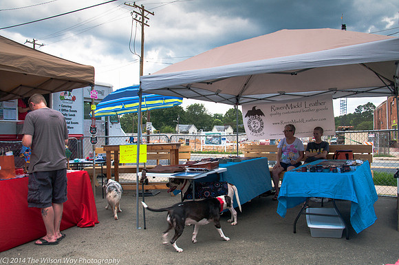 Carolina Mastiff Rescue-0636
