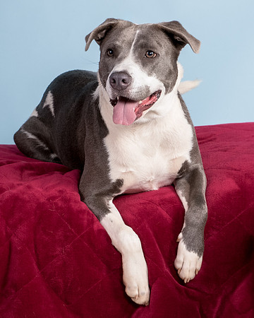 Foster Juliana-8117