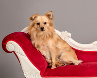 Foster Kree-4865