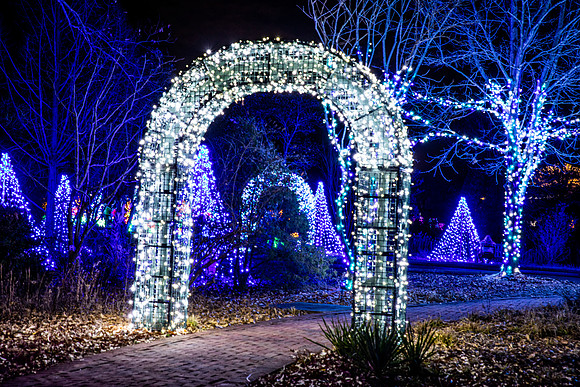 Christmas-2820