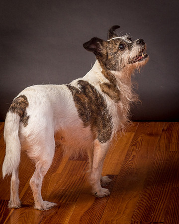 Foster Sinclair-9876