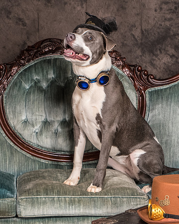 Foster Juliana-8065