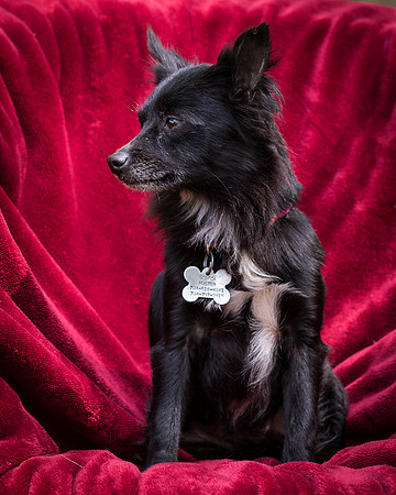 Foster Julio-8517
