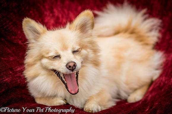 Foster Shirley-6113