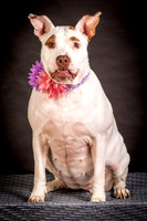 Foster Joanie-0410