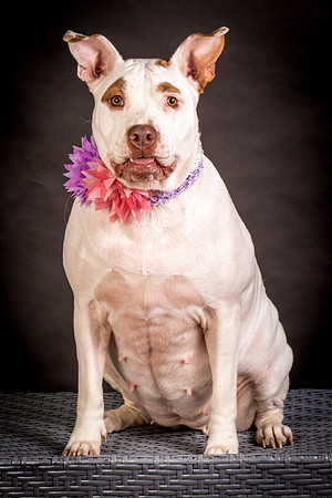 Foster Joanie-0410