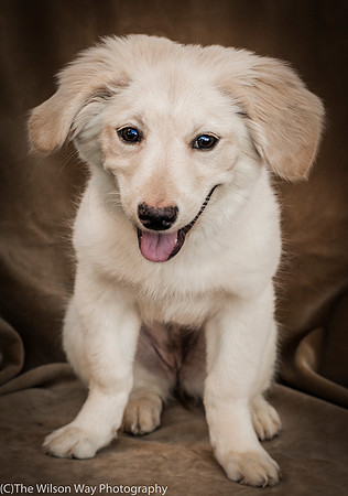 Foster Stephanie-9618