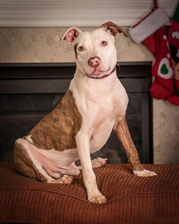 Foster Driscoll-9701