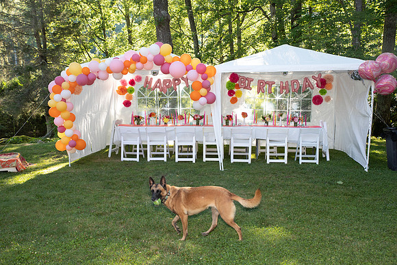 50th Birthday Party-8061