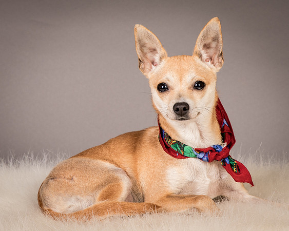 Foster Rosanna-3855
